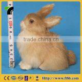 New Products Miniature Animals Gardening Wholesale Taxidermy thumbnail-4