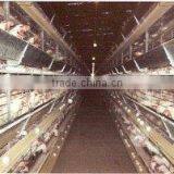 Poultry Cages