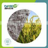 Probiotics Powder 200BL Bacillus Amyloliquefaciens Amino Acid Promoter From Lvkee thumbnail-2