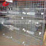 Cheap Pigeon Cage/Pigeon Breeding Cage/Design Pigeon Cage thumbnail-4