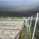 Sunshade Netting(manufacturer and Exporter in China)