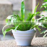 Unique Shape Resin Bright Color Flower Pot thumbnail-1