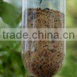 Bird Canary,bird Nets for Catching Birds,wooden Bird House thumbnail-3