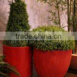 Flower Pot thumbnail-3