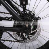 China Factory Wholesale 20 Inch Folding Ebike Fat Tire Beach Cruiser Electric Bike thumbnail-3