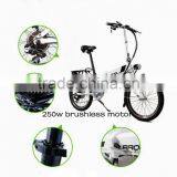 CE China Supplier Chinese Folding Electric Bikes Model 20'' Low Price Electric Bike Bicycle Israel Market thumbnail-3