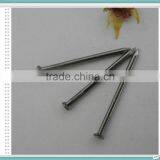 Common Wire Nails Supplier From China Special for Yemen Market thumbnail-3