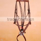 padded bridle