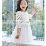 White Baby Girls Lace normal dress medium sleeve tulle dress children