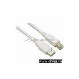 AM TO BM Cable thumbnail-1