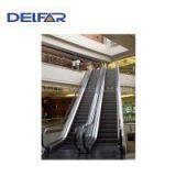 Beautiful Delfar Escalator