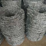 Barbed Wire thumbnail-4