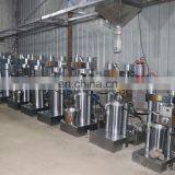 Factory Directly Sale Automatic Cold Press Kenya Small Avocado Oil Press Machine thumbnail-6