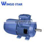 Ip66 Electric Motor thumbnail-4