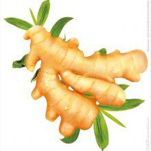 In 2021, With Fresh Ginger thumbnail-2