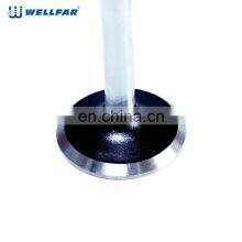 Factory High Precision Performance Engine Valve for Fiat thumbnail-5
