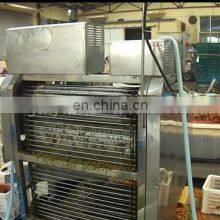 Best Cherry Stem Removing Machine Cherry /fruit Processing Machine thumbnail-5