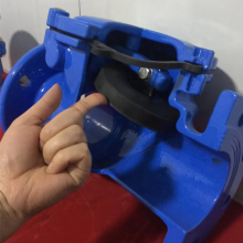 DN40-DN350 PN16 Cast Ductile Iron GGG50 Lift Ball Check Valve Flange Soft Seal Non Return Check Valve Price thumbnail-5