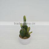 Decorative artificial plants artificial cactus with melamine pot