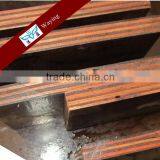 Film Faced Plywood thumbnail-3