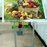 aluminum poster stand snap frame