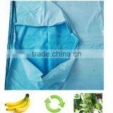PE Blue Banana Cultivation Bag With Uv Treated