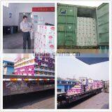 Free Samples Factory Price High Performance Adhesive To Fish Glass Aquarium Silicone Sealant thumbnail-4