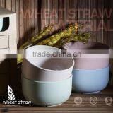 Best Quality New Product Wheat Straw Bowl thumbnail-1
