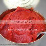 Natural Fresh Tin Canned Tomato Paste With Good Quality thumbnail-2