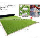 2015 New Arrival Durable Unique Plastic Fake Artificial Hockey Grass thumbnail-3