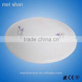 18W Acrylic Cover 220v A60 LED Ceiling Lamp for Hall, Bathroom,corridor Wtih 8-24volt Ballast