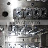 Injection Mold