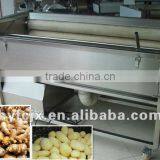 Sale Ginger Peeling Machine/ Vegetable Fruit Washing Machine