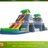 Cheap Giant Inflatable Water Slide for Adult on Sale/adult Size Jumping Castle Inflatable Water Slide/commercial Water Slide thumbnail-1