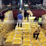 VIETNAMESE JASMINE RICE - CROP 2016 thumbnail-4