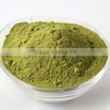 Dehydrated Mint Flakes / Powder
