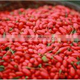 Goji Berry(organic Goji Berry) thumbnail-6
