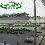 pak choi planting groove for Agricultural tools