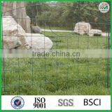 High Quality Small Wrought Iron Fence for Garden Gates Cheap Price thumbnail-1