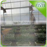 Film Greenhouse With Ceiling Fans for in Saudi Arabia thumbnail-1