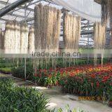 Metal Frame PC Green House thumbnail-4