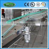 Bottle Conveyor