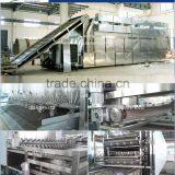 Industrial Fruit And Vegetable Dehydrator Multi Layer Belt Dryer thumbnail-1