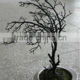 Factory New Product Self Design Wire Line Inside Potted Plant Led Lighting Tree thumbnail-2