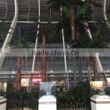Artificial Tall Palm Tree for Airport Public Decoration
