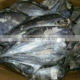 Frozen Seafood BLACK POMFRET OR BRAMA FILLET Frozen Fish thumbnail-3