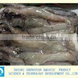 Frozen Giant Squid Head thumbnail-1