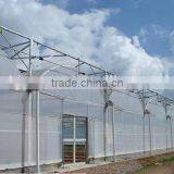 Large Size Agricultural Plastic Film Greenhouse for Planting Vegetable thumbnail-2