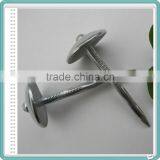 Electro Galvanized Roofing Nails/Umbrella Nails Factory thumbnail-5