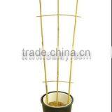 Thick Walled Cheap Tonkin Bamboo Poles Wholesale for Plants thumbnail-5